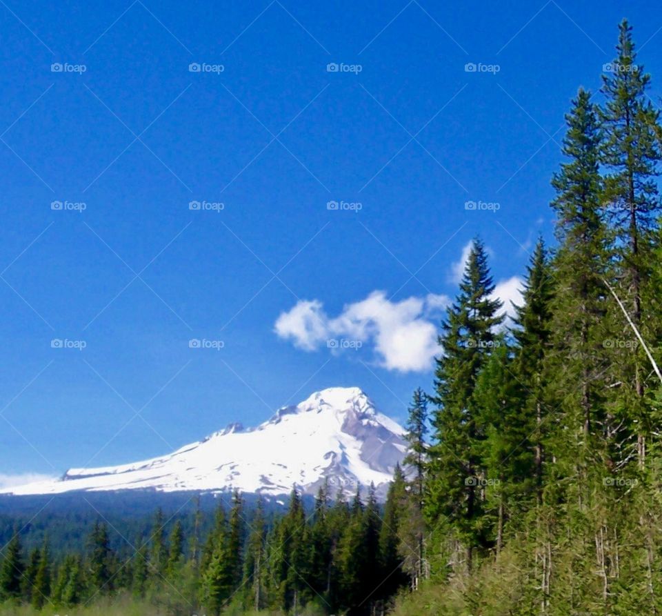 Majestic Mt Hood