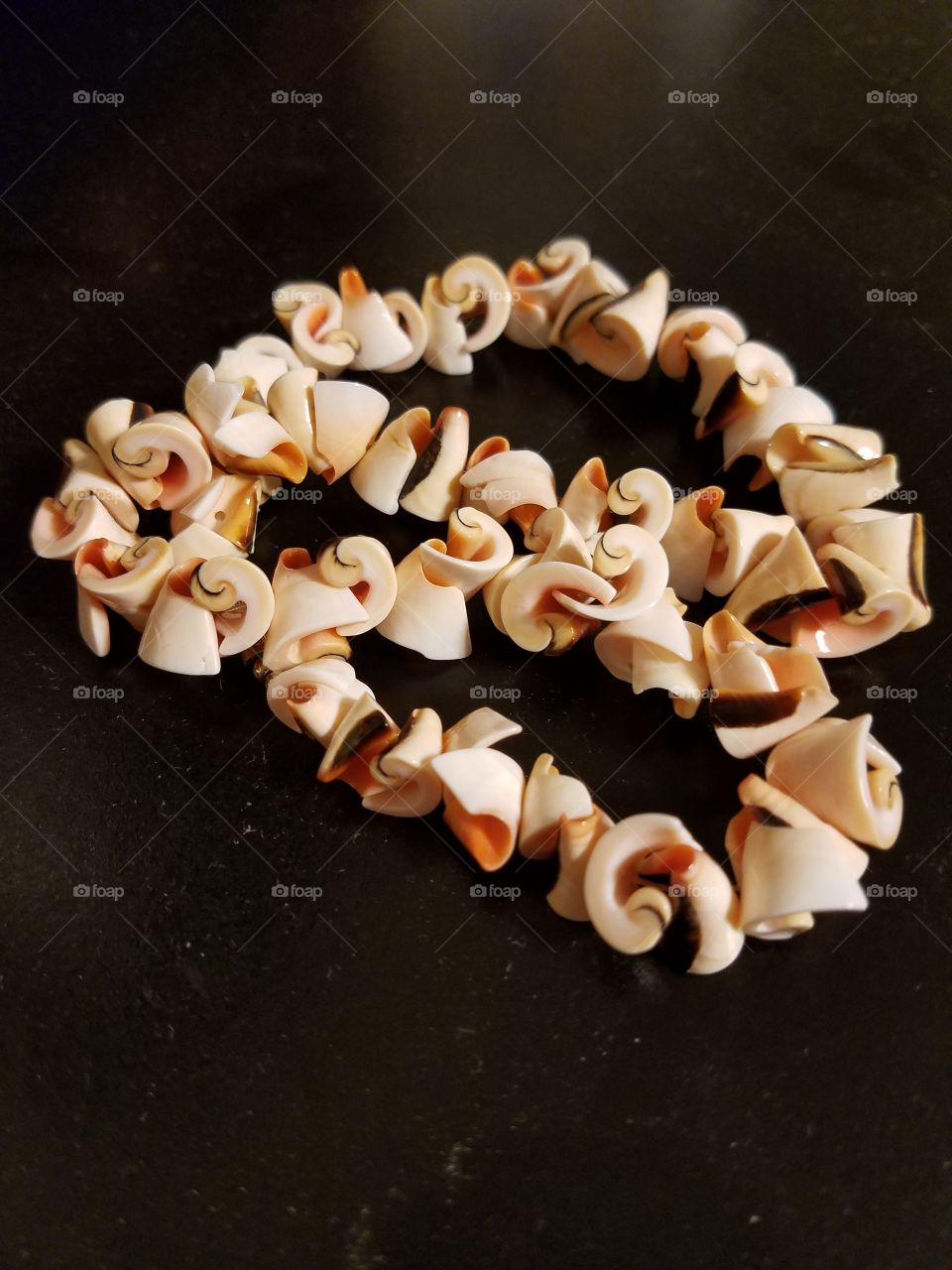 Sea Shell Jewelry