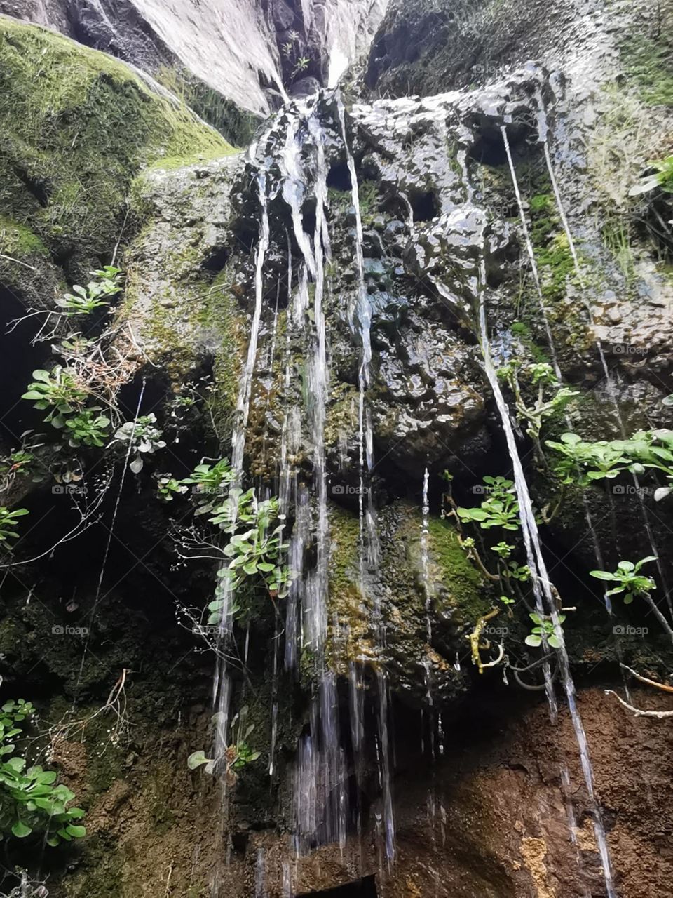 agua cayendo por piedra gran canaria charco la paloma senderismo