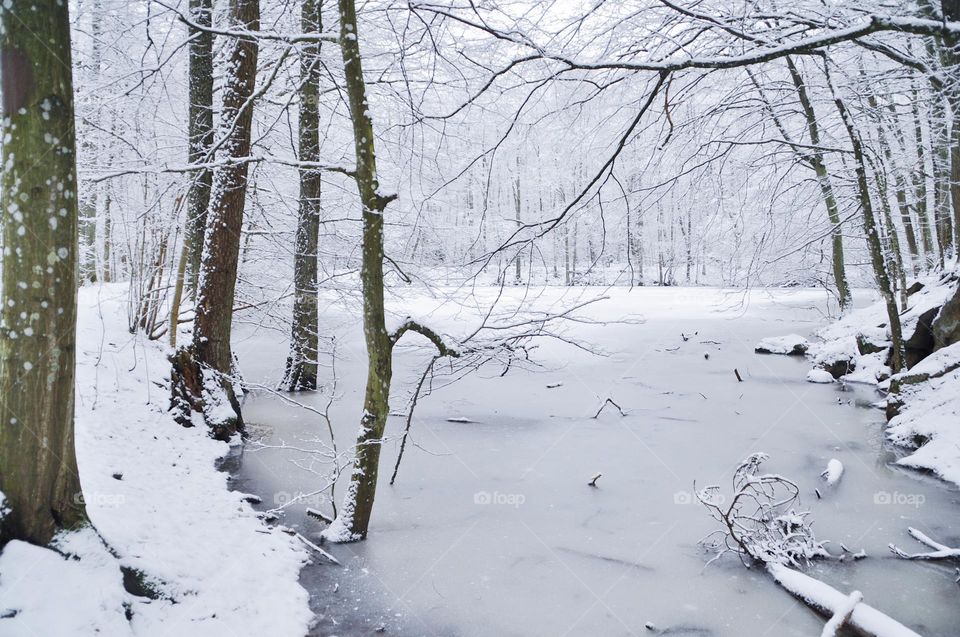 Landscape photo of nature in winter 