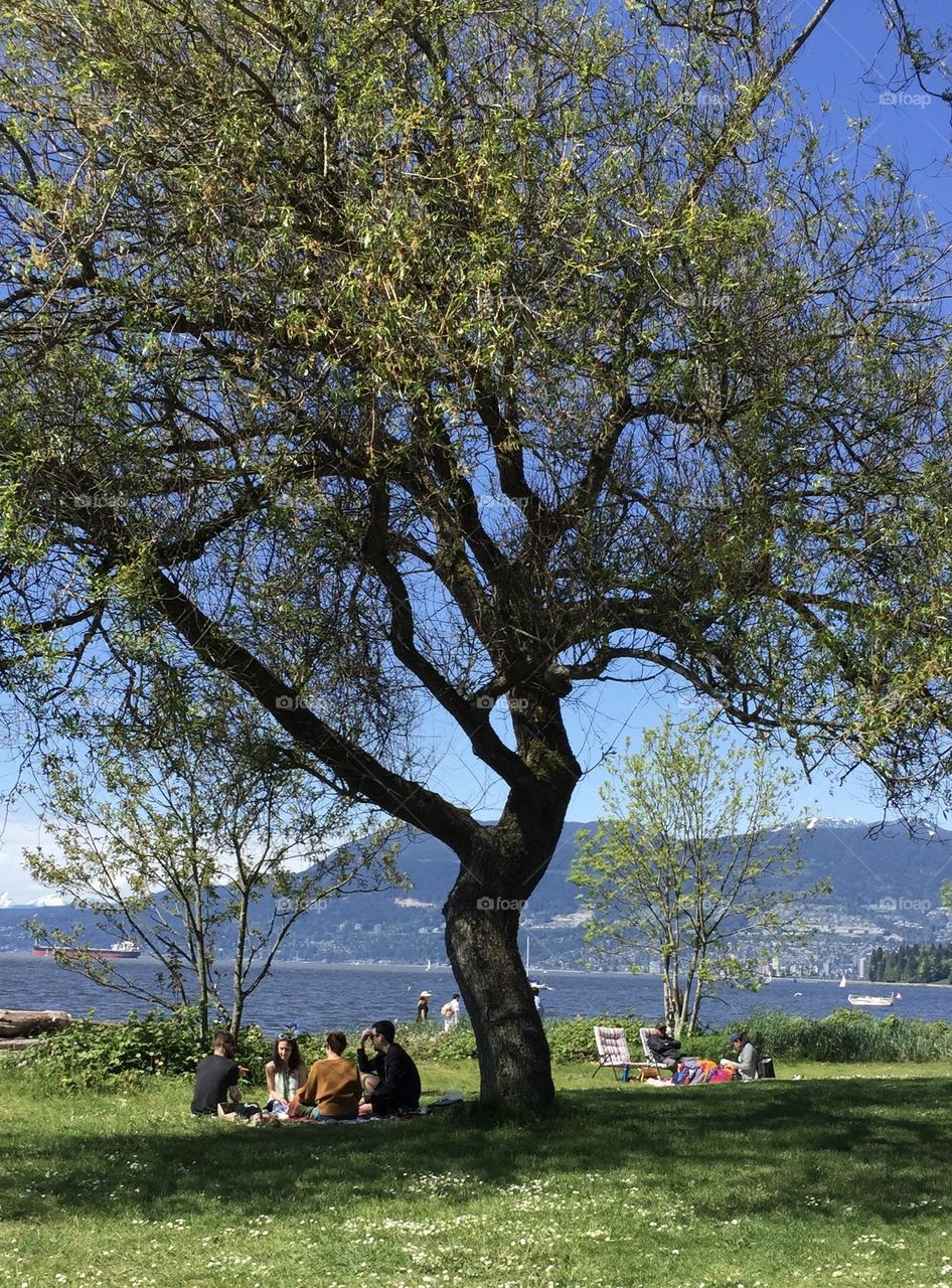 Picnic on the beach 
