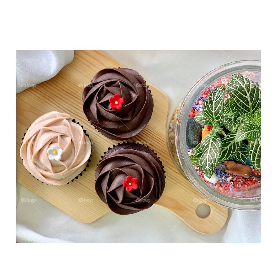 Strawberry yogurt and chocolate ganache cupcakes for afternoon treats 