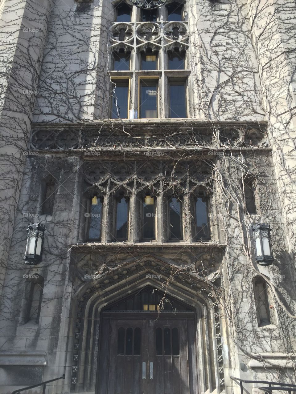 University of Chicago 