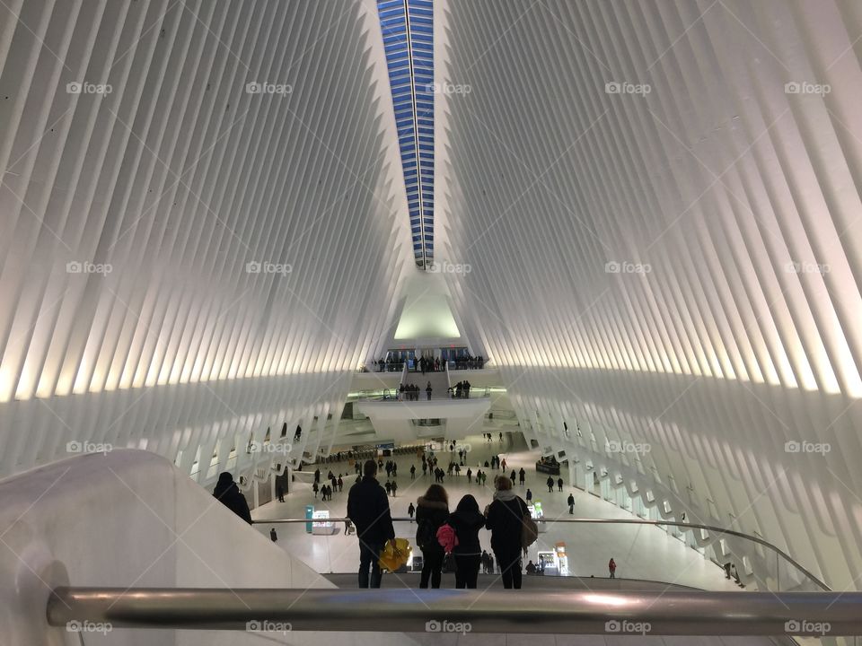 New York freedom oculus 