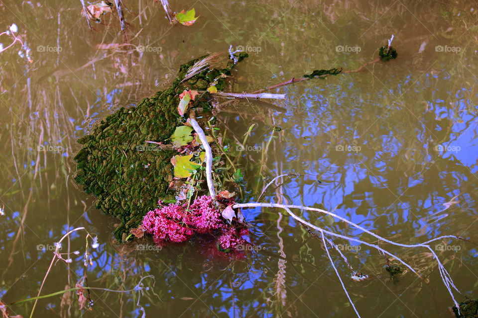 Flower floating