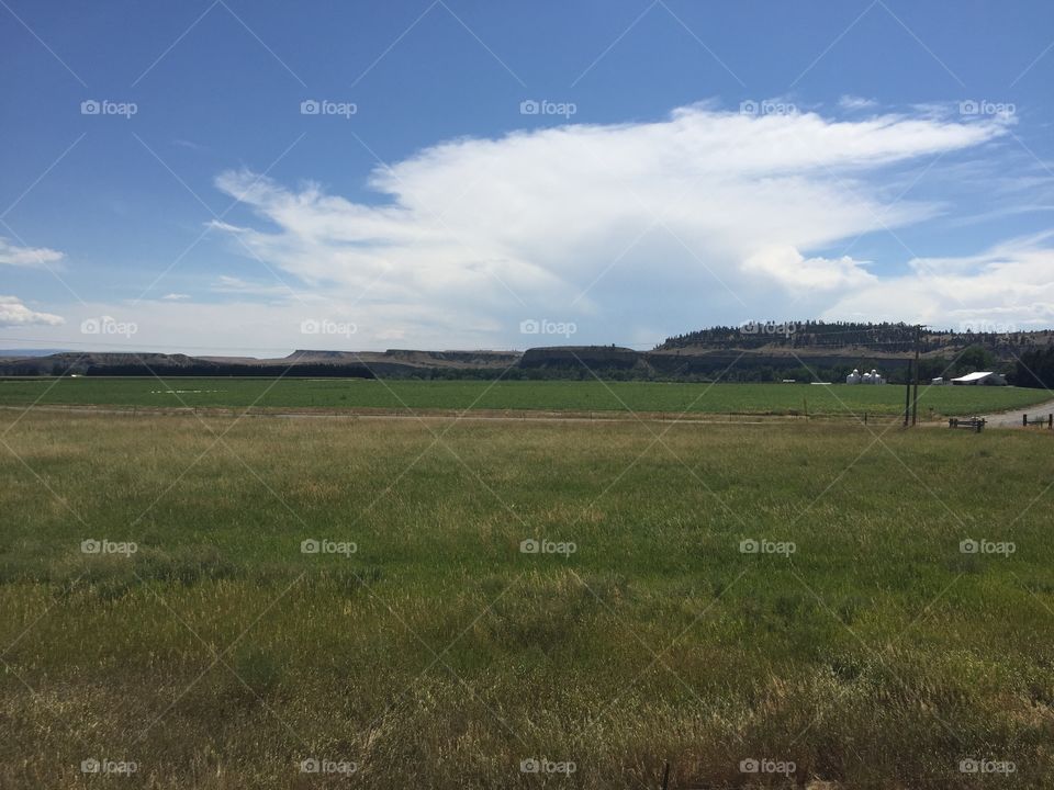 Landscape, Cropland, Agriculture, Grassland, Farm