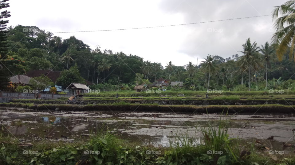 Tour With Me. Village