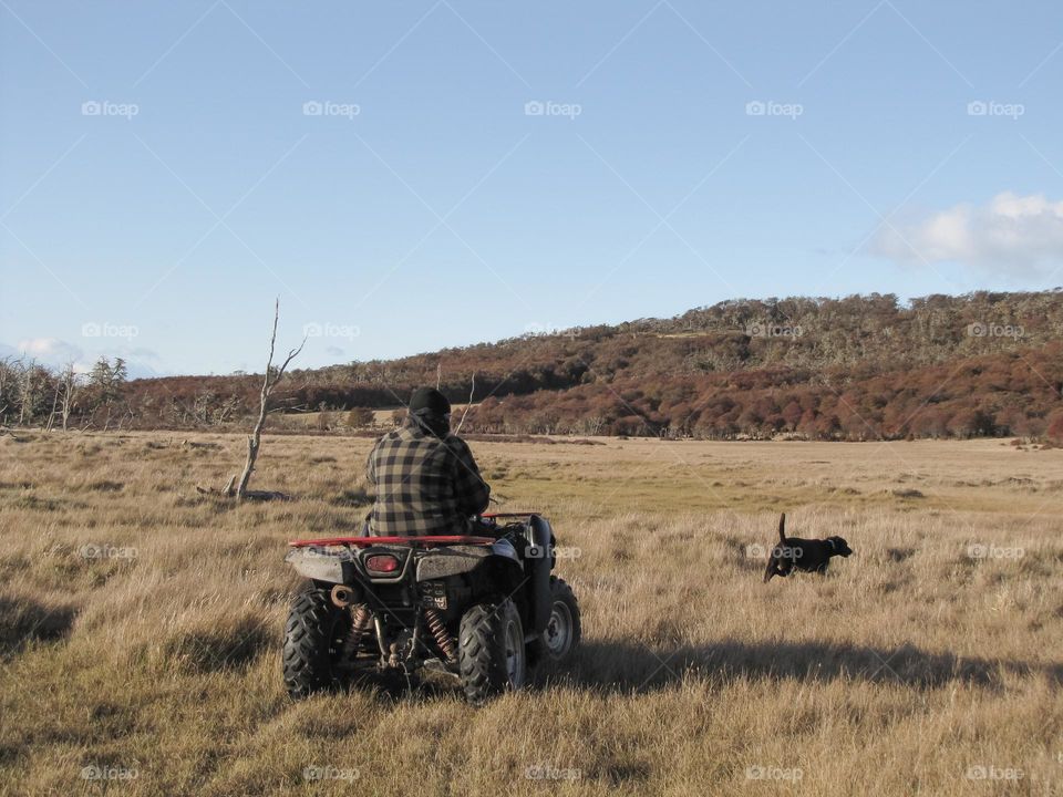 Enjoying the nature in a sunny day with dogs