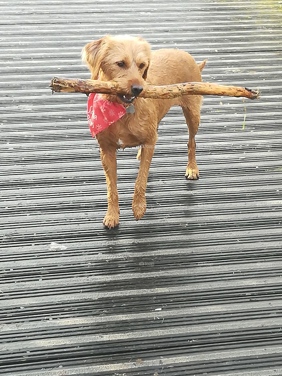 Stick pose
