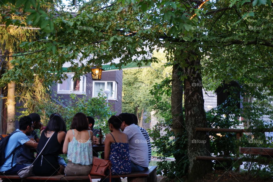 Group of young people having a meeting under a tree