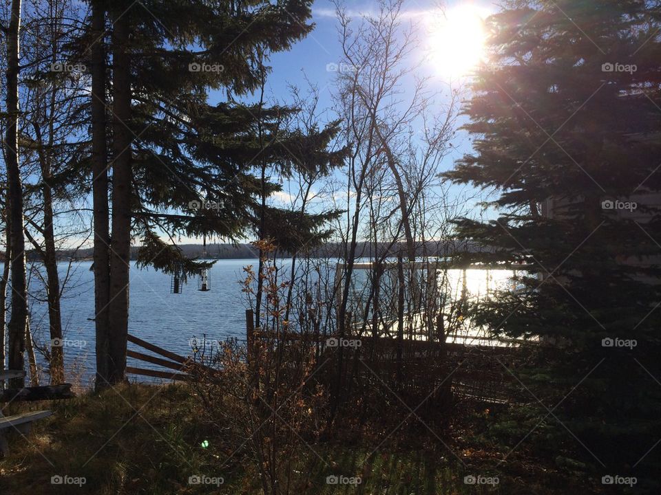 Camping at the Lake