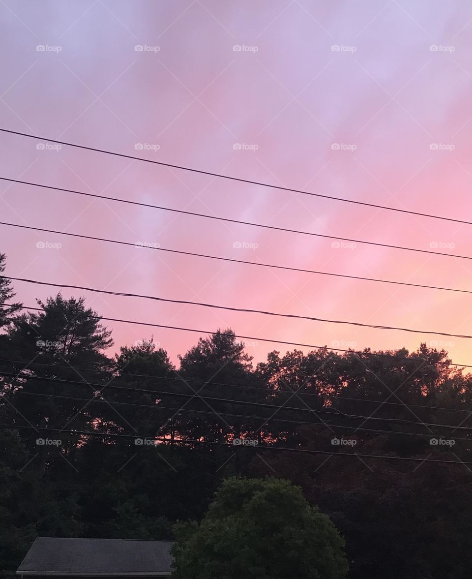 Some pink after storm