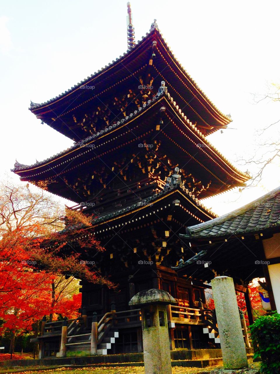 Big Shrine in Autumn 