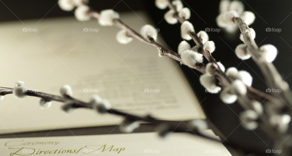 Green and ivory wedding invitation