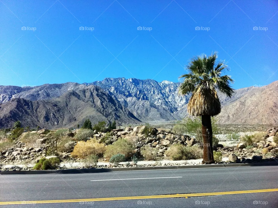 Cali 