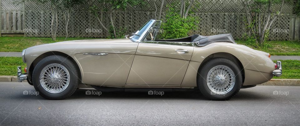 Austin Healy