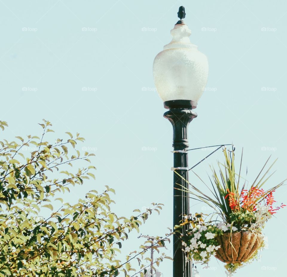 A pretty white street light on a black pole with a basket of flowers attached. 