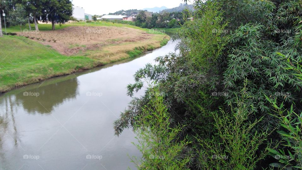 Vista do rio Rio que dá nome a nossa cidade; the river who named our city. Rio dos Cedros,SC, Brasil