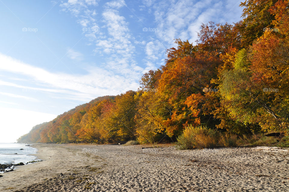 Autumn beach in Poland