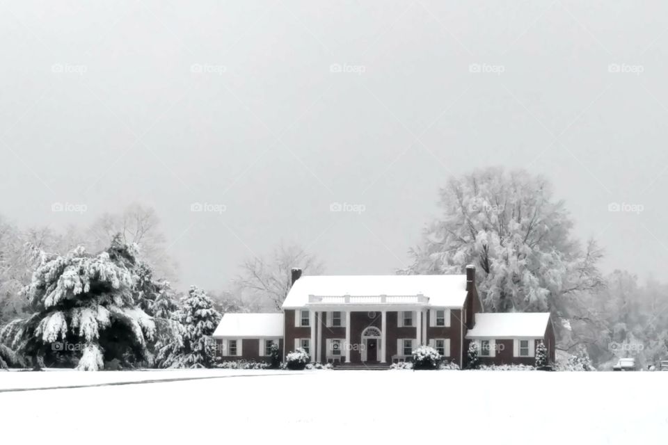 Snowy Estate in the Country