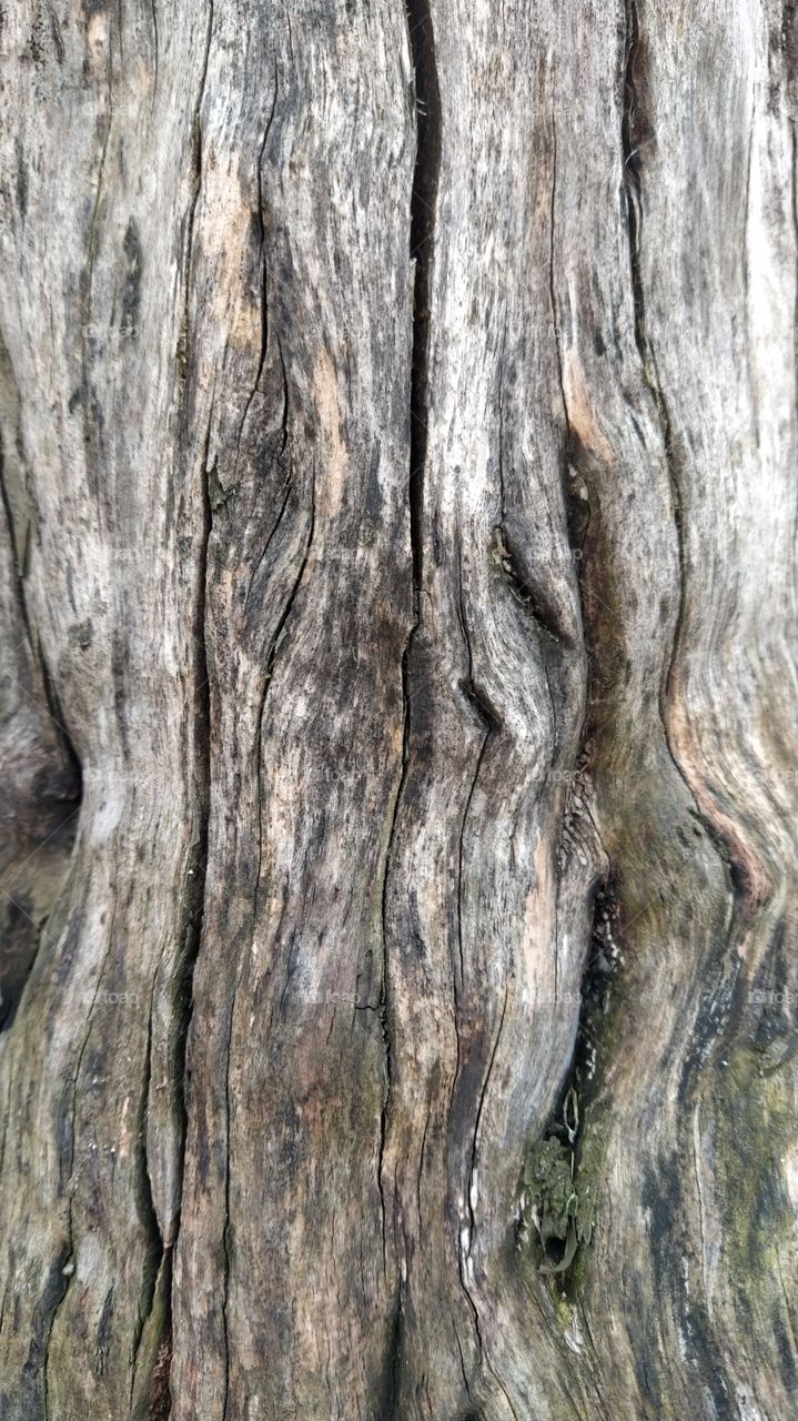 wood3