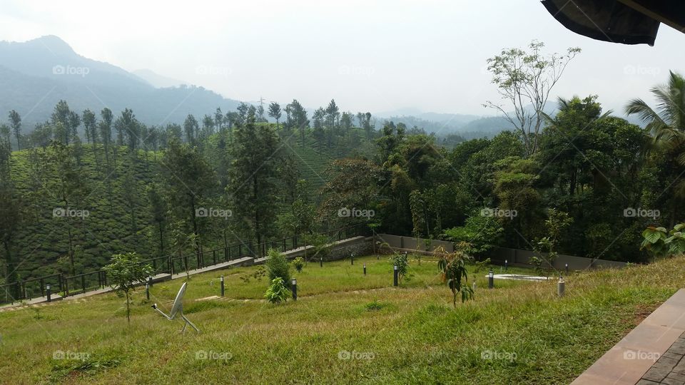 Wayanad,  kerala