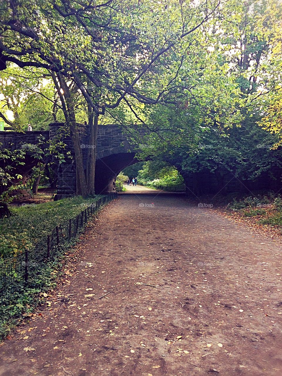 A walk through Central Park 