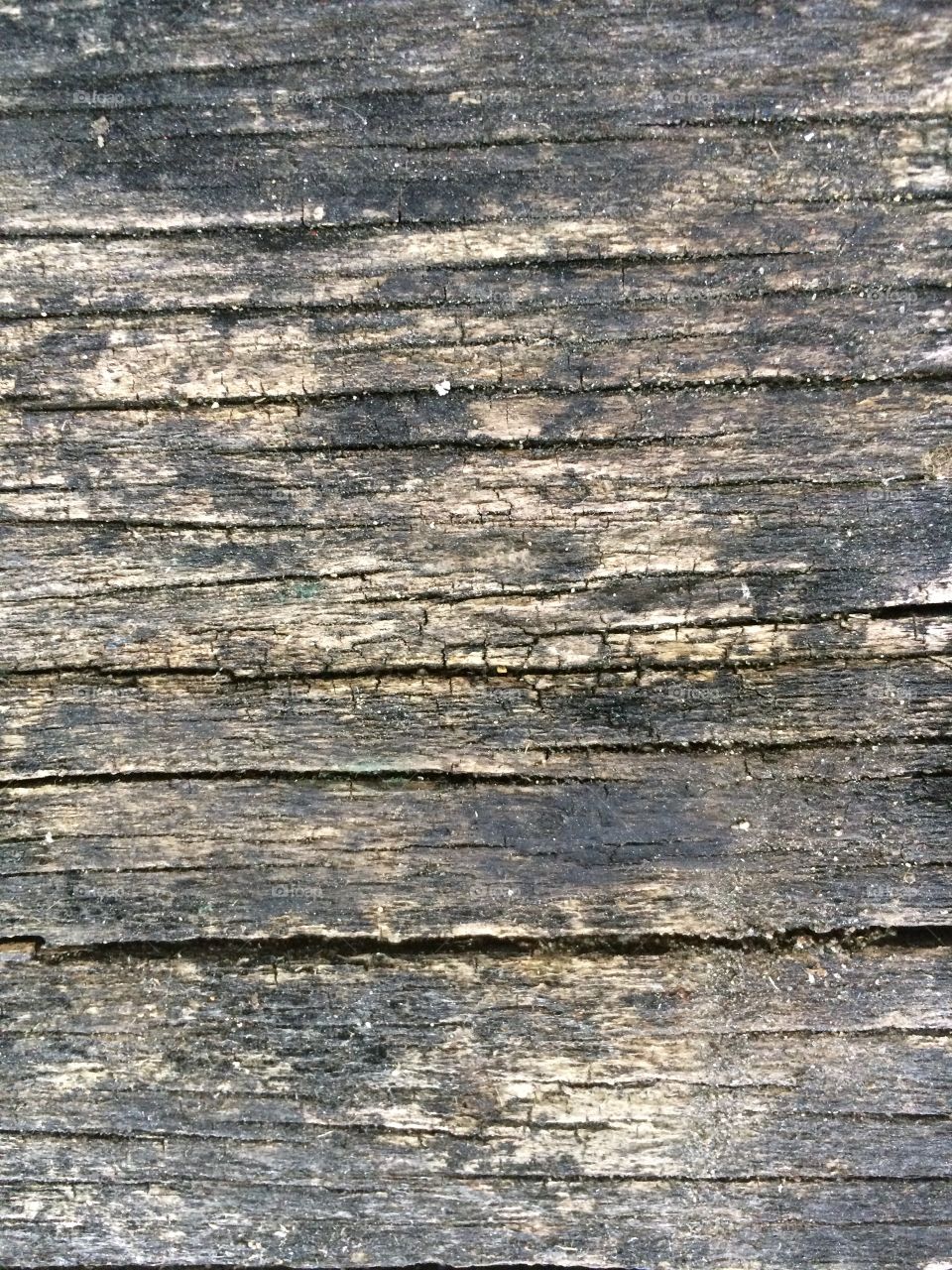 Wood Plank