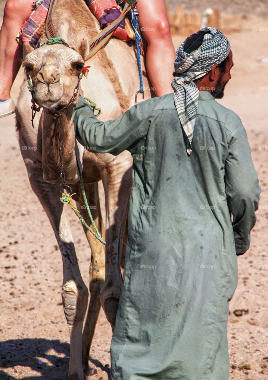bedouin man by the camel