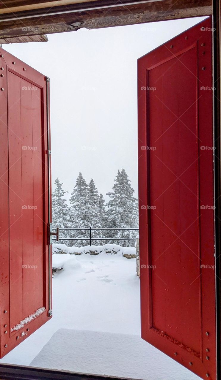 opening the red shutters to a fairy winter landscape with snowwhite spruces