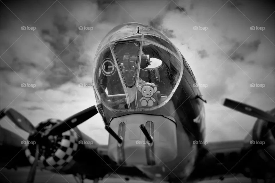 Sally B