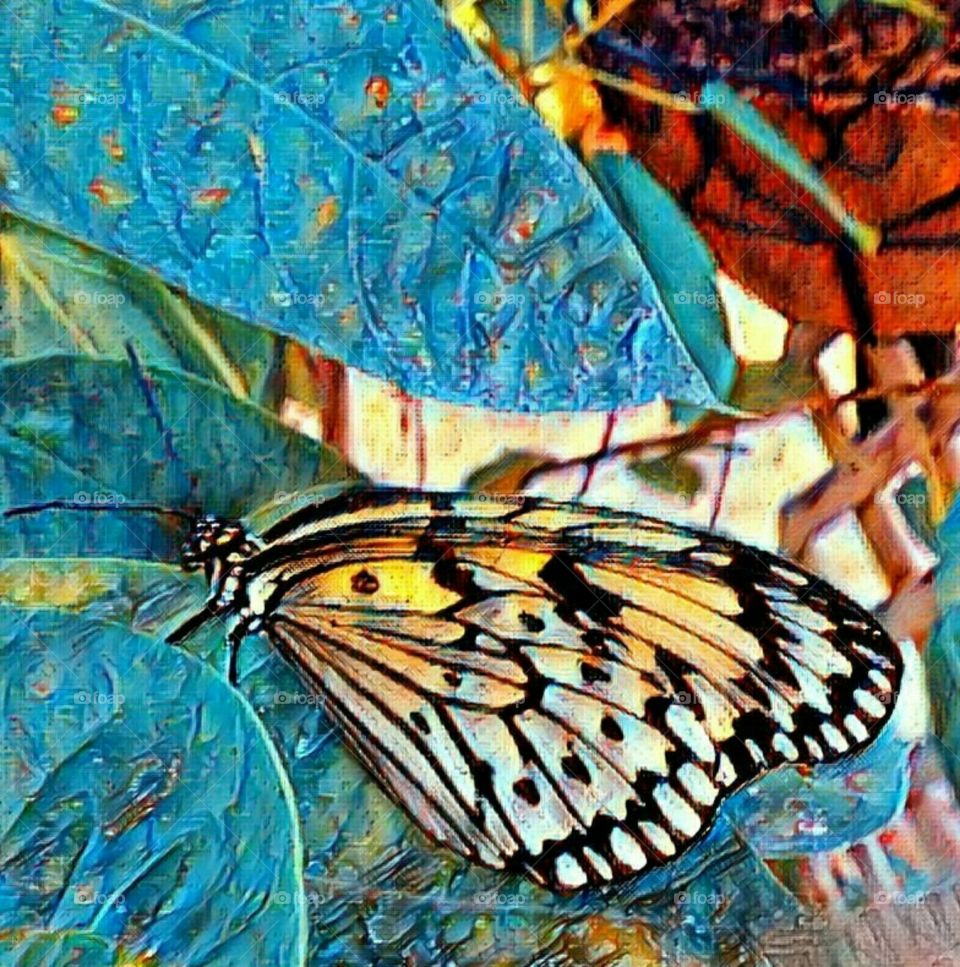 photo turned painting of a butterfly