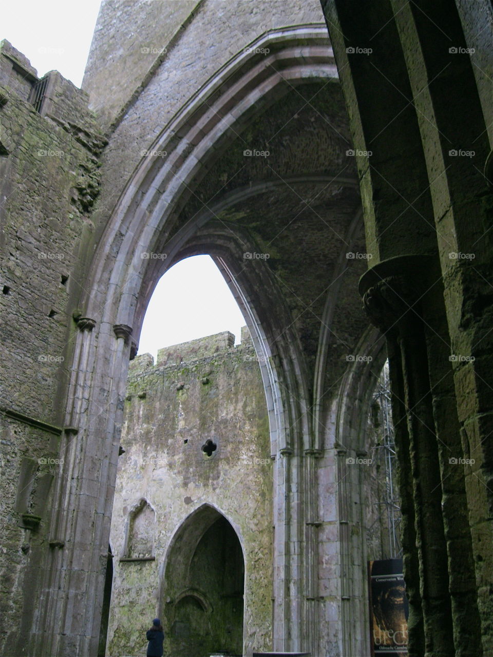 Moss on grey stone, Irish castle ruins 