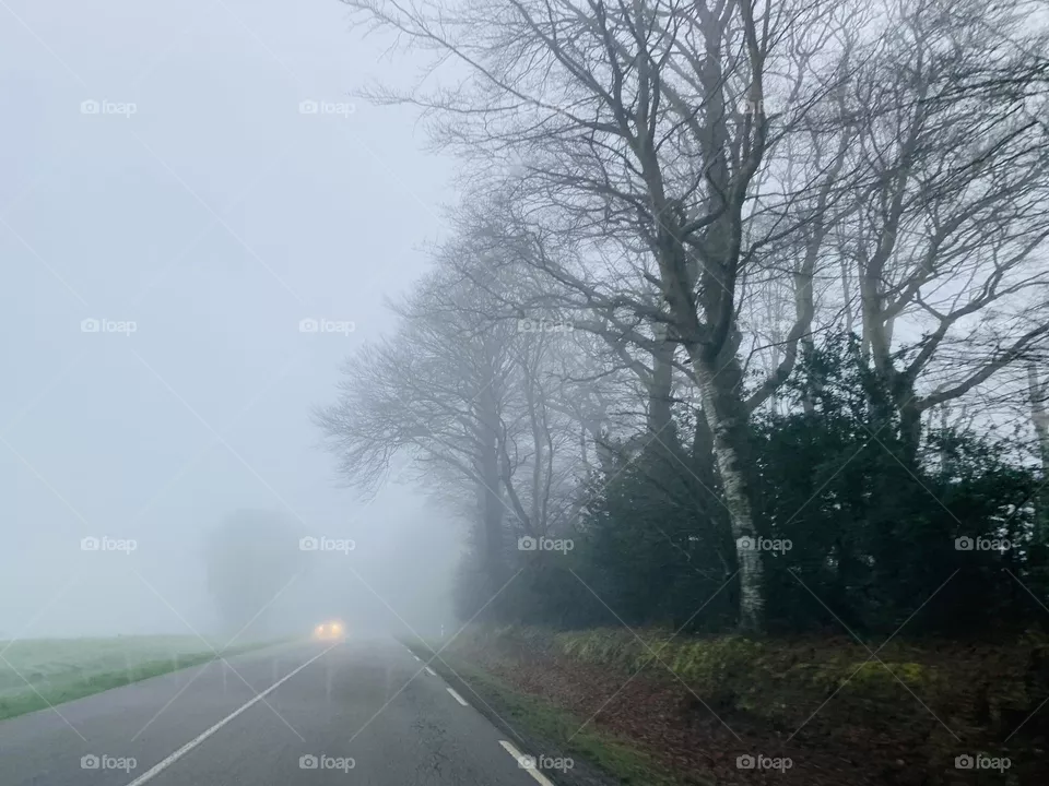 Big Fog