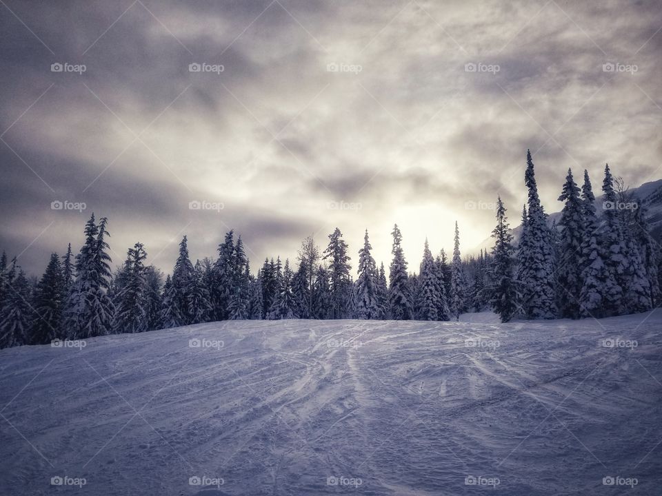 sunset dusk on a ski hill with evergreens