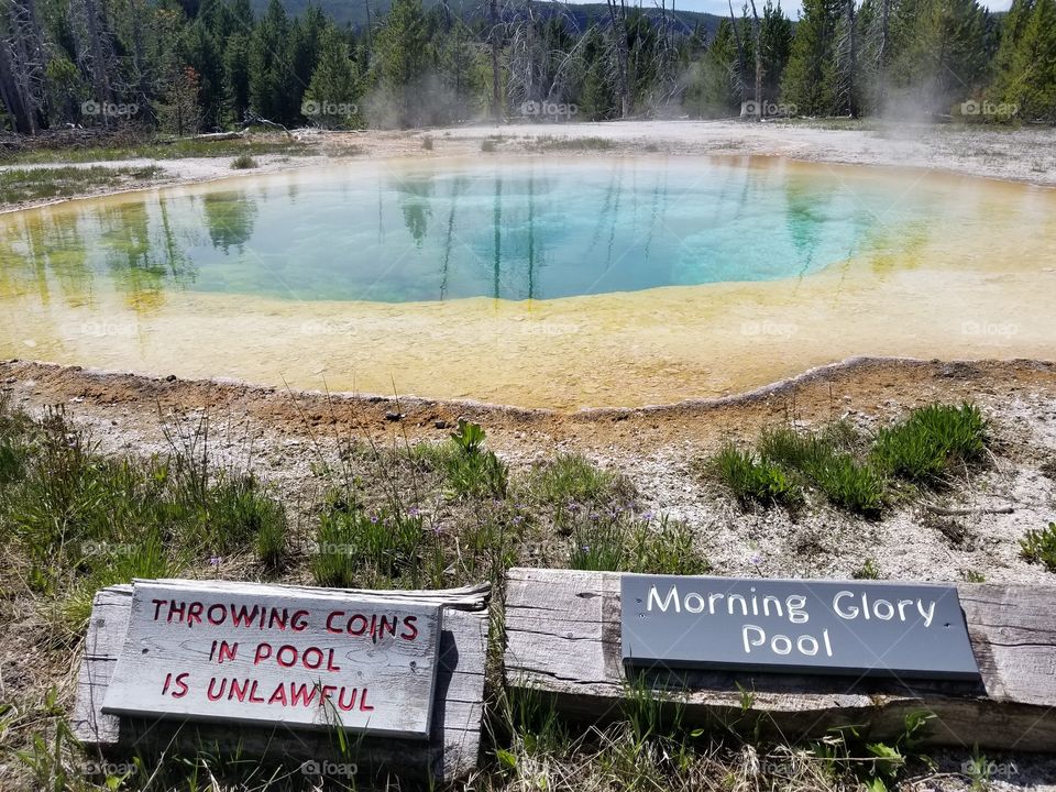Yellowstone_Morning Glory Pool #3