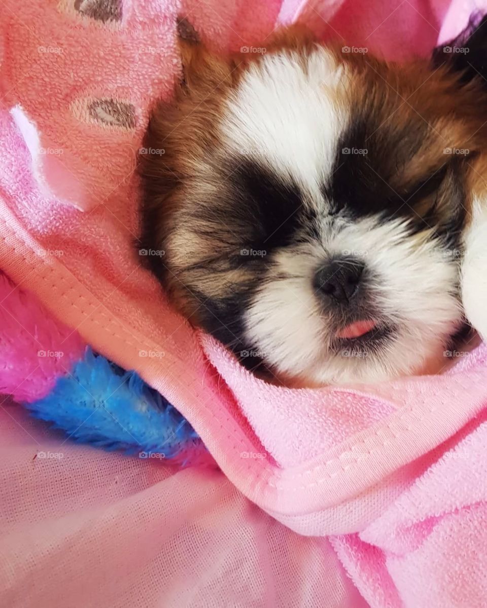 My baby still asleep! Isn’t he the cutest?