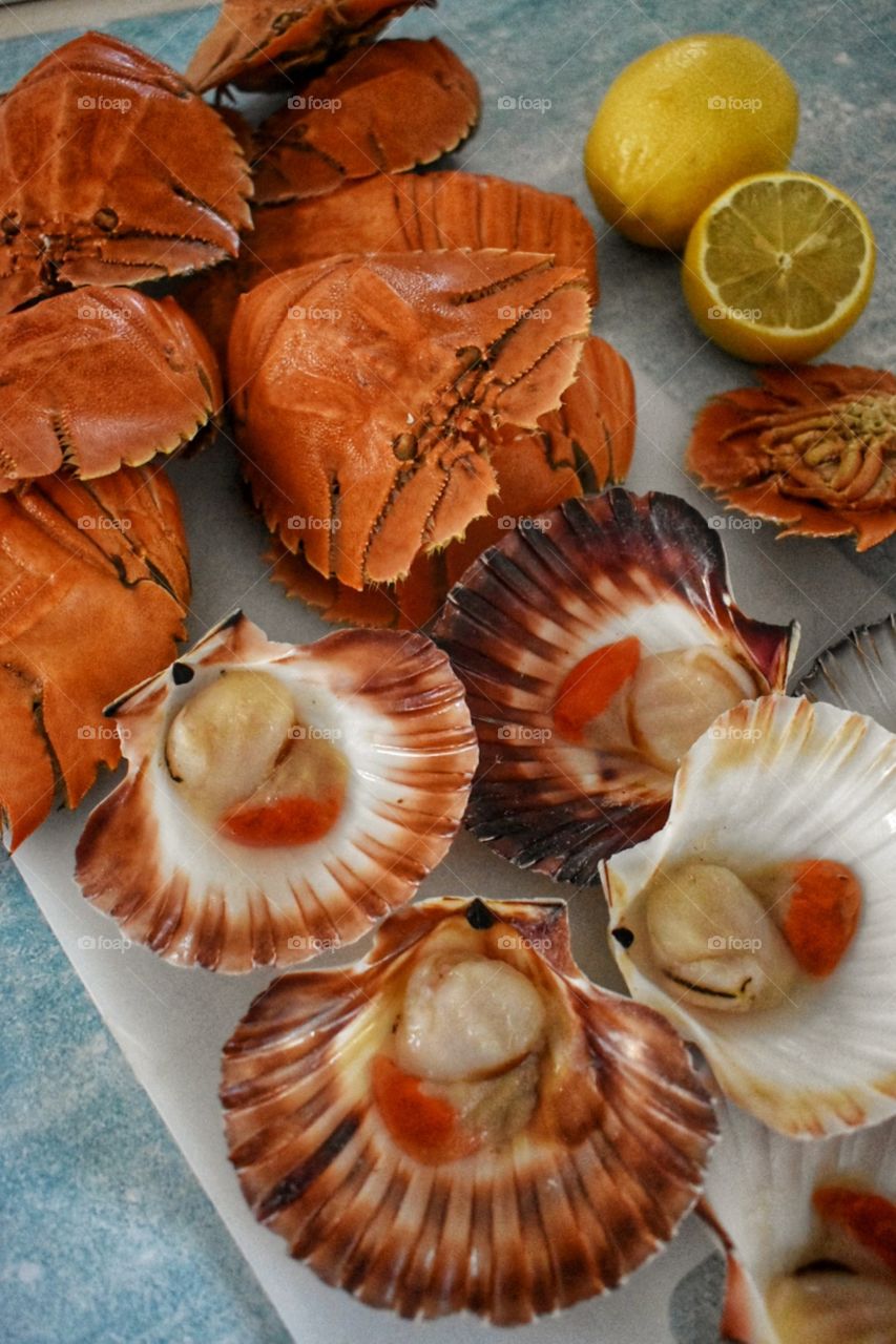 Seafoods. Fresh scallops and cooked bugs