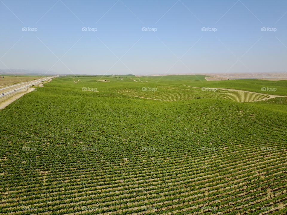 No Person, Landscape, Agriculture, Countryside, Rural