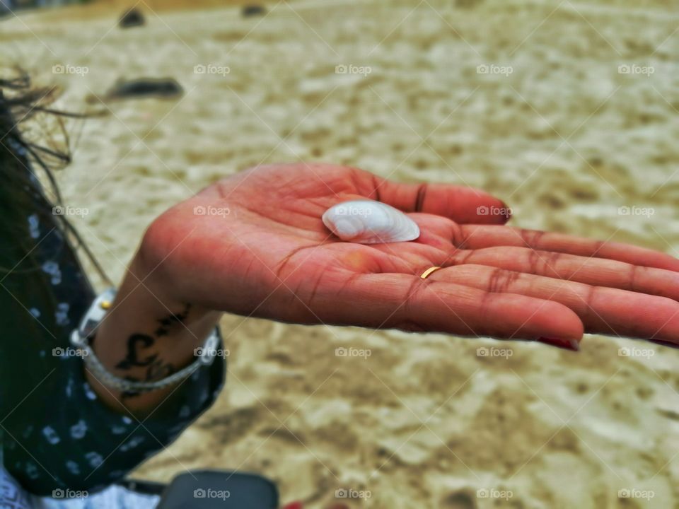 Seashell In a hand of lady at beach.