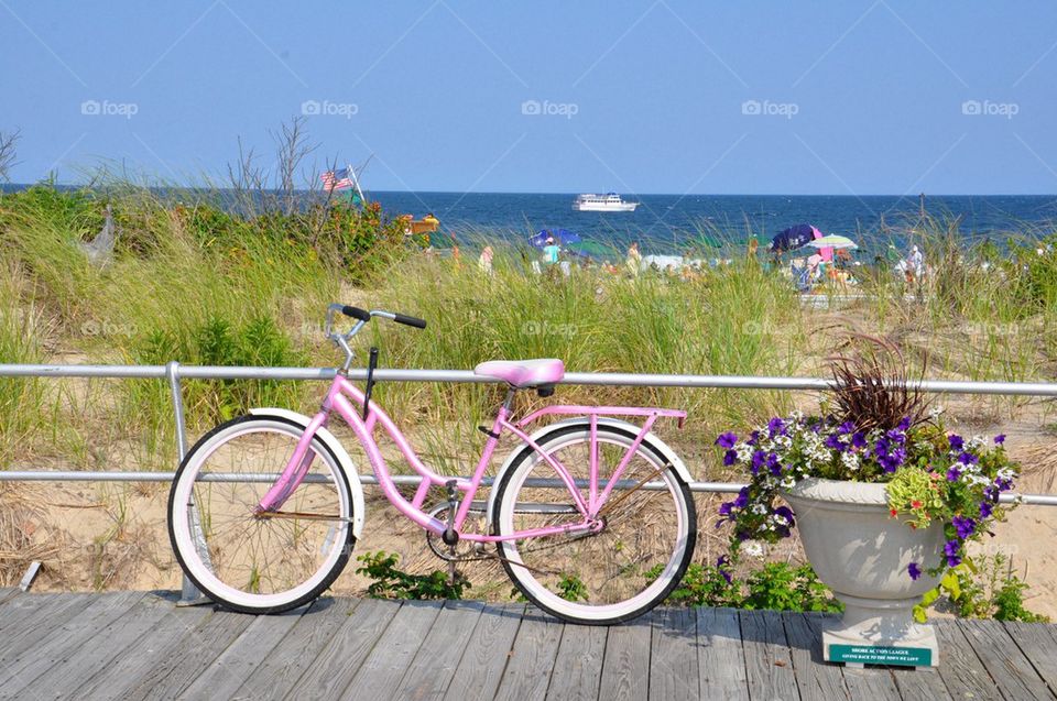 Pink bike in front of grass on sand dunes and ocean