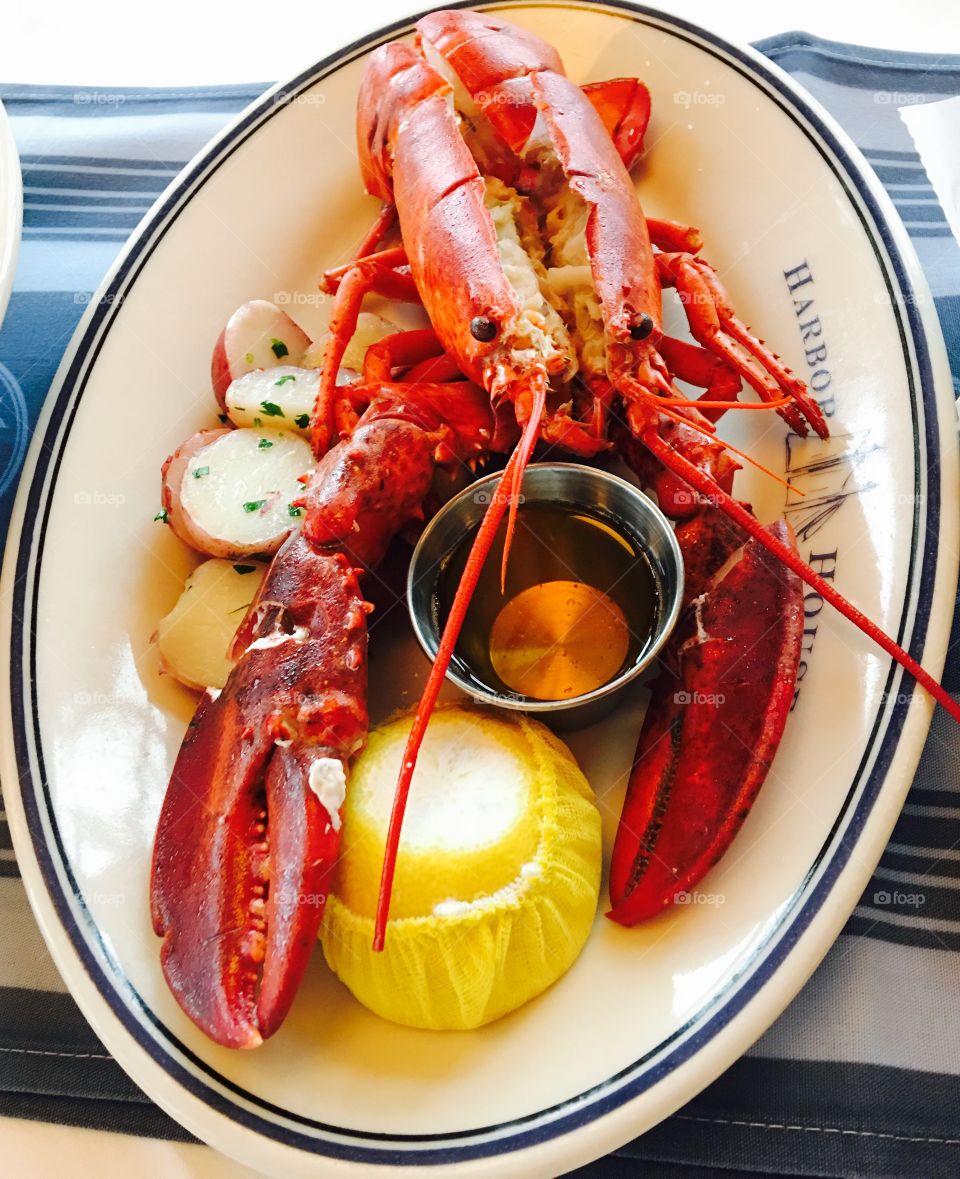 Close-up of lobster on plate