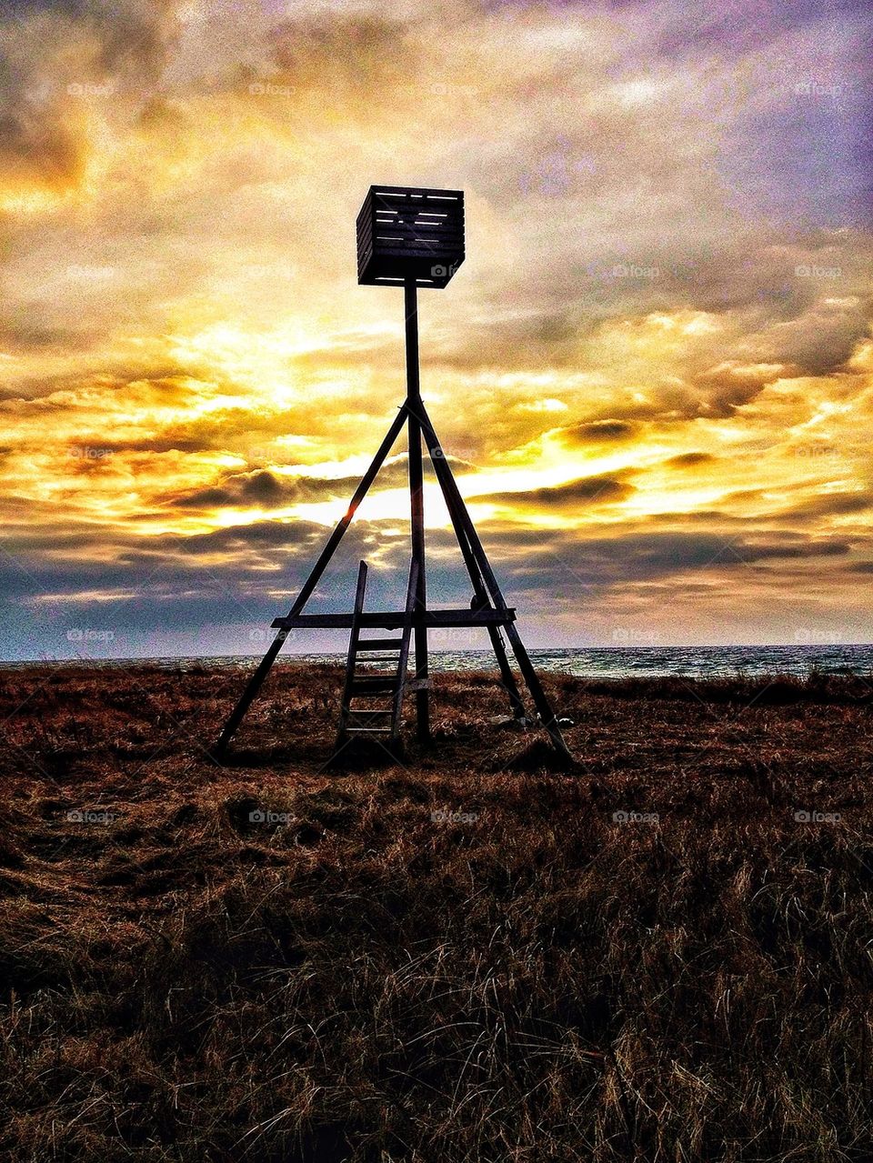 Bird watching tower