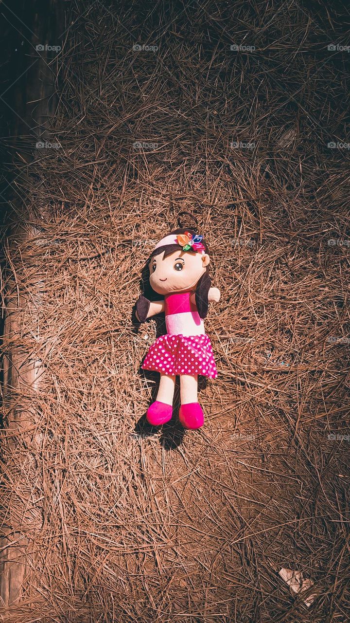 cute pink doll in pine valley forest