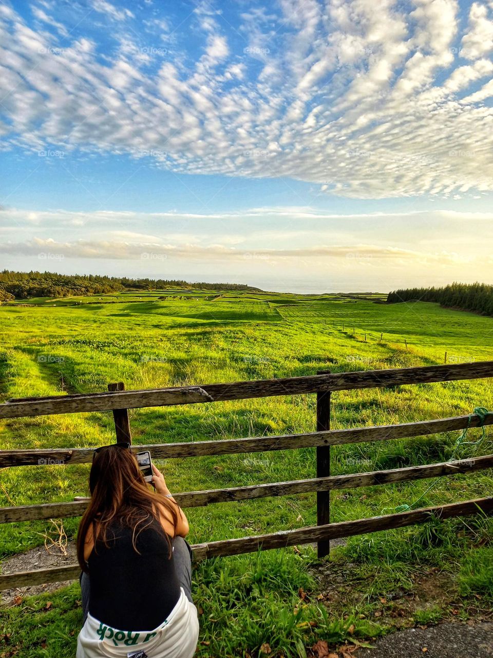 Green field, Açores, Portugal