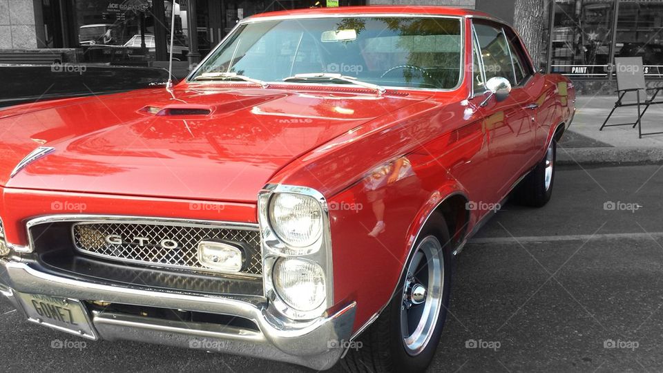 gto red