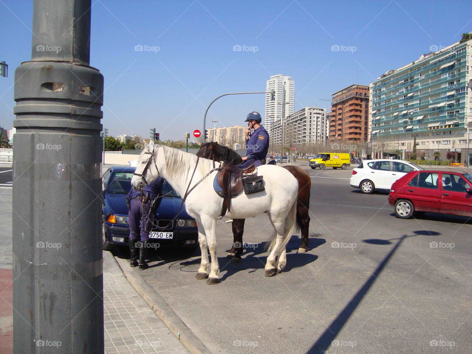 # Spain# Valencia# Policia# horse# Token# road rules#