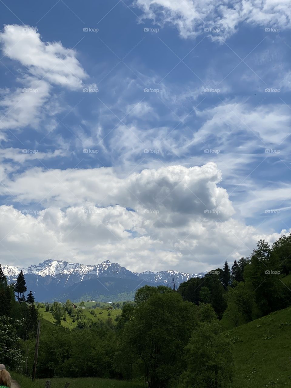 Sky? Mountains or forest? Which one? 