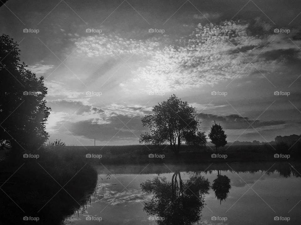 Sunrise in Noir