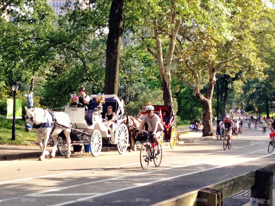 Street of CENTRAL PARK. Happy moment